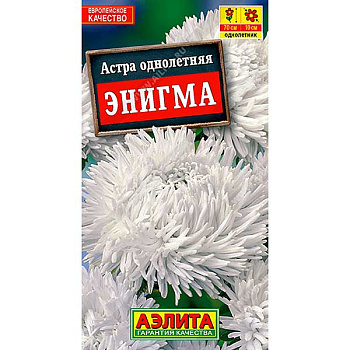 Астра Энигма Аэлита Ц 