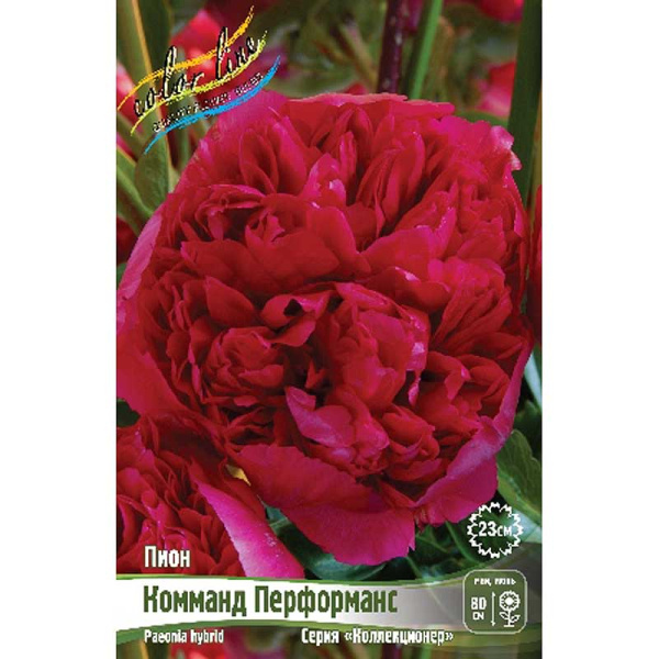 Пион Комманд Перформанс 3/5 n 10 шт Биг-Пак 10358 