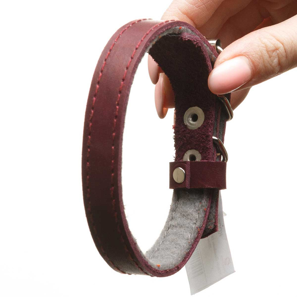 Ошейник кожа+ватин ширина 15 мм длина 35 см