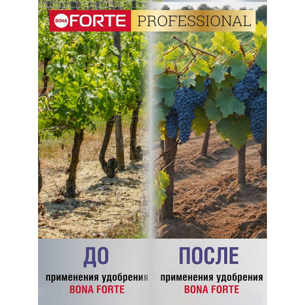 Бона Форте 100 гр для винограда х10/30 
