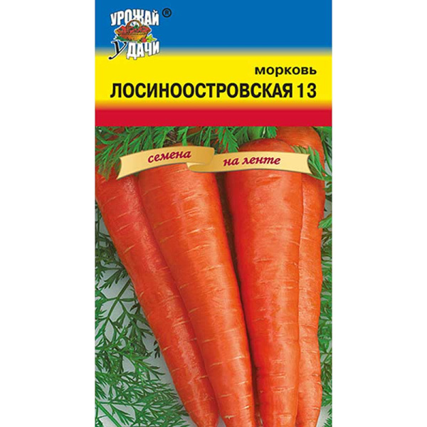 Морковь Лосиноостровская (лента) Урожай у дачи Ц