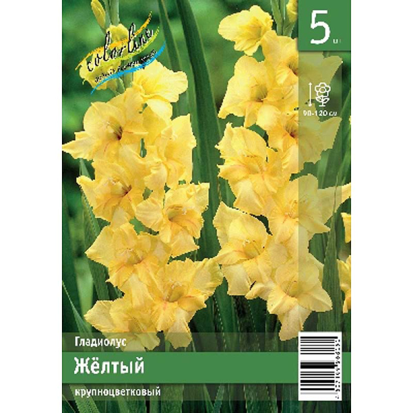 Гладиолус Желтый 10/12 5 Эконом шт
