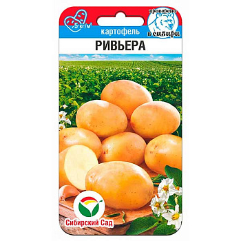 Картофель Ривьера СибСад