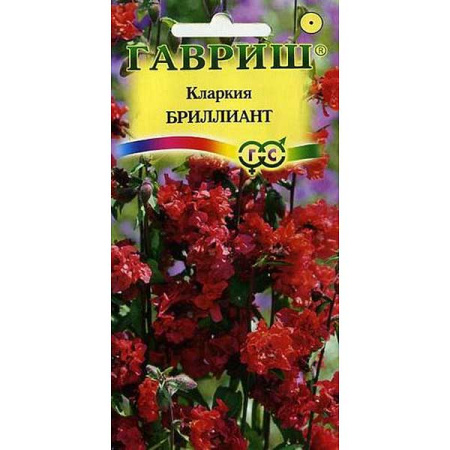 Кларкия Бриллиант, изящная Гавриш Ц 