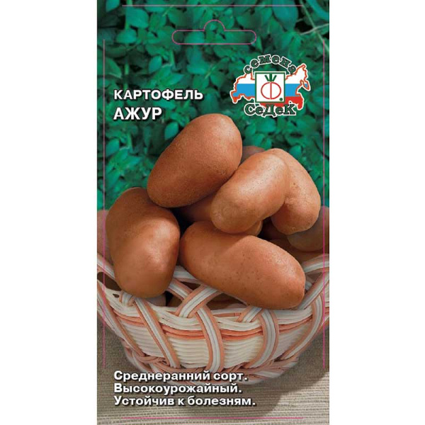 Картофель Ажур 2 Элита (цена за 25кг +-5%) Седек