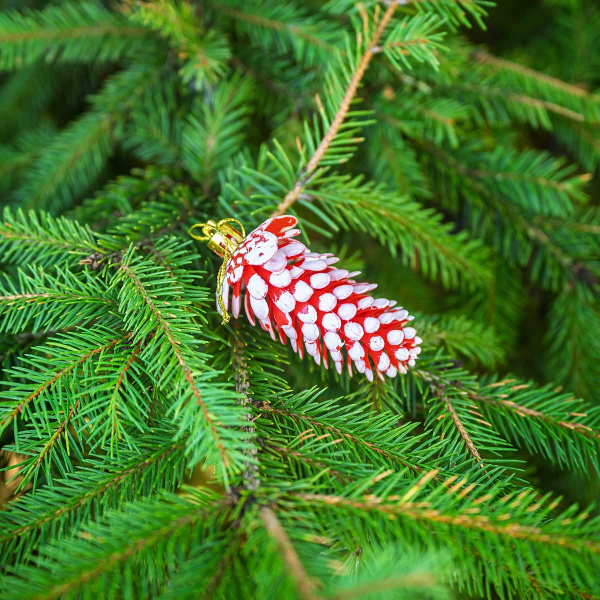 Шар 9DC5-H32B-1 5шт 9см "Шишка" красная с белой каймой (288)