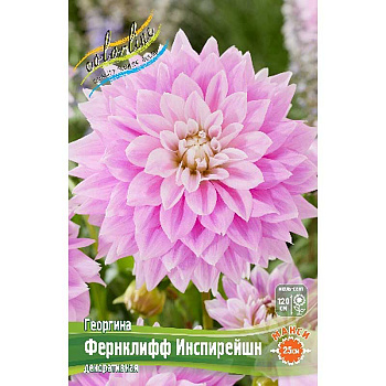 Георгина Фернклифф Инспирейшн I 1 шт