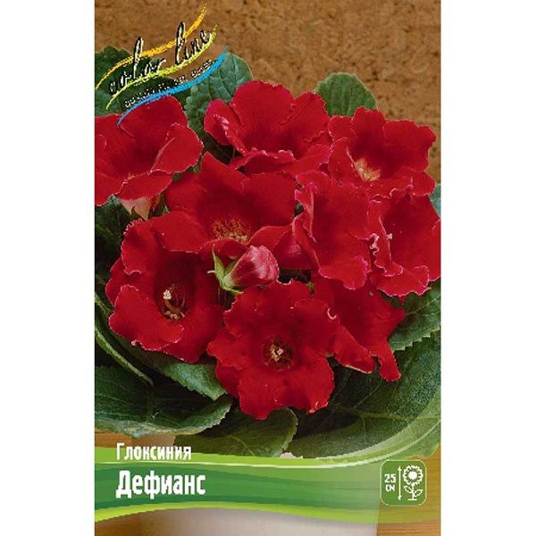 Глоксиния Дефианс 5/6 50 шт Шоу-Бокс 8874
