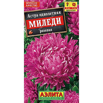Астра Миледи розовая Аэлита Ц 
