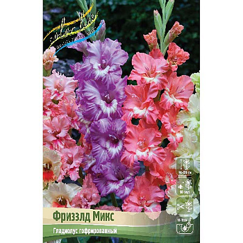 Гладиолус Фриззлд Микс 10/12 100 шт Шоу-бокс 9254 