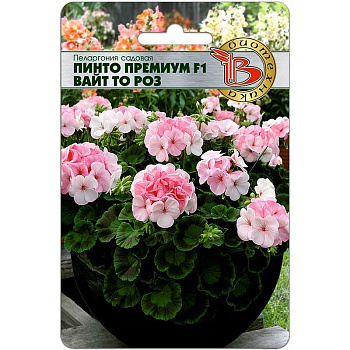 КОМ Пеларгония Пинто Премиум Вайт то Роз Биотехника Ц 