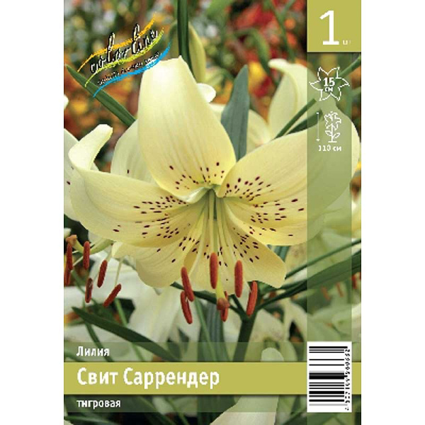 Лилия Свит Саррендер 12/14 1 Эконом шт 