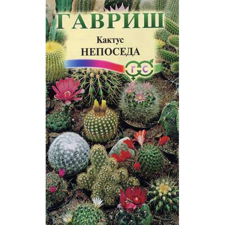 КОМ Кактус Непоседа смесь Гавриш Ц 