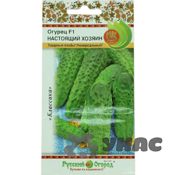 Огурец  Настоящий хозяин НК Ц