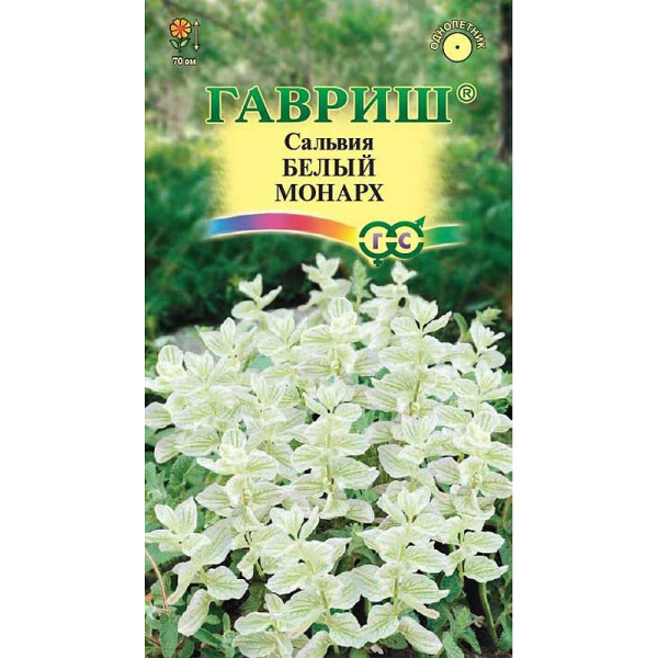 Сальвия Белый монарх Гавриш Ц 