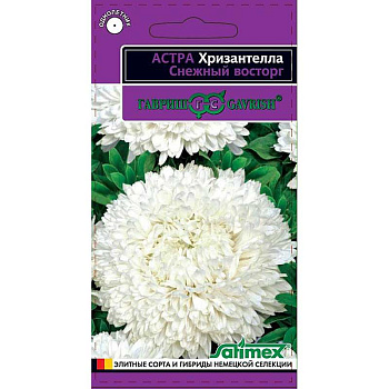 Астра Хризантелла Снежный восторг Гавриш Ц 