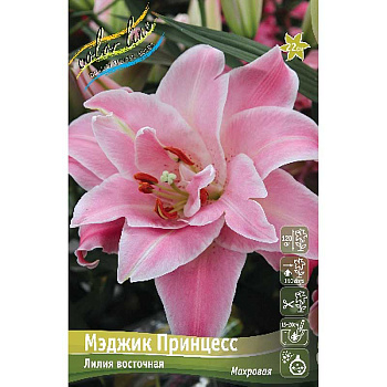 Лилия Мэджик Принцесс 12/14 25 шт Биг-пак 11135 