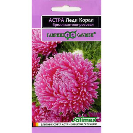 Астра Леди Корал Бриллиантово-роз (эксклюзив) Гавриш Ц 