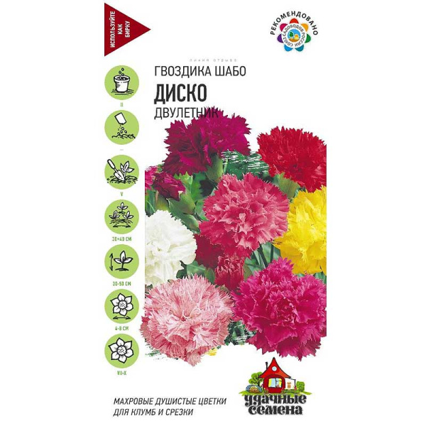 Гвоздика Шабо Диско Удачные семена Гавриш Ц 