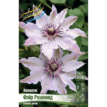 Клематис Фэйр Розамонд I 2 шт