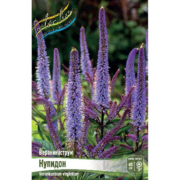 8356 Биг-Пак Вероникаструм Купидон I 25 шт