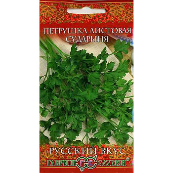 Петрушка листовая Сударыня Гавриш Ц