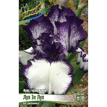 Ирис Германский Луп Зе Луп I 25 шт Биг-пак 4128